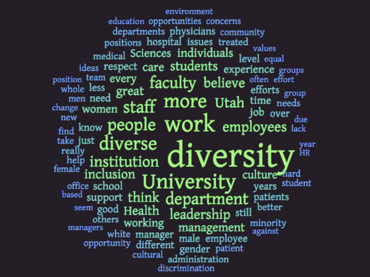 word-cloud of commonly used words in the report