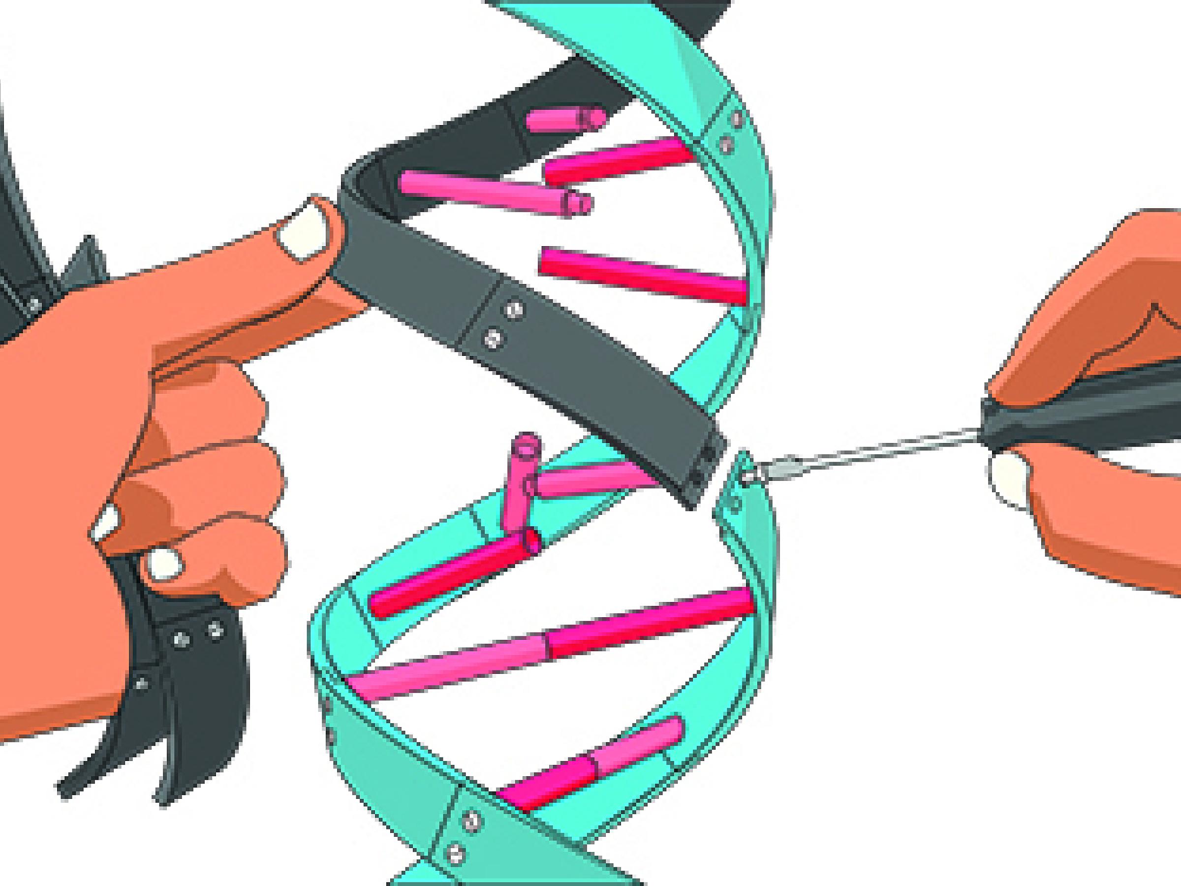 Illustration of hands tinkering with DNA strand