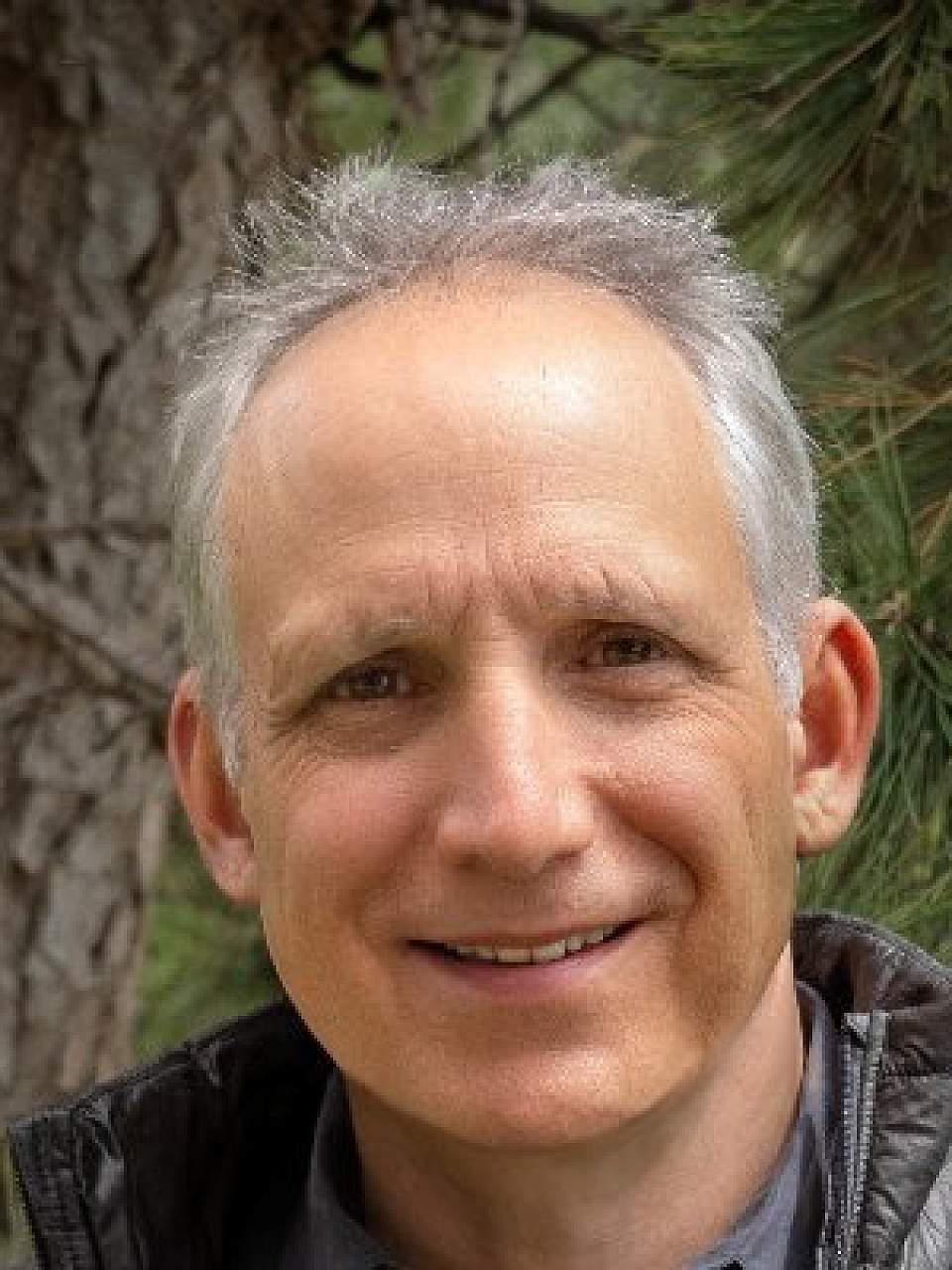 Daniel Scharfstein