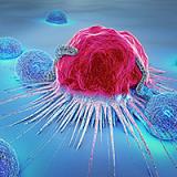 3i Pink Red Cancer Cell Blue Background