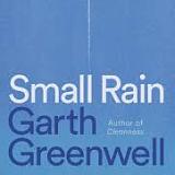 book cover - Small Rain