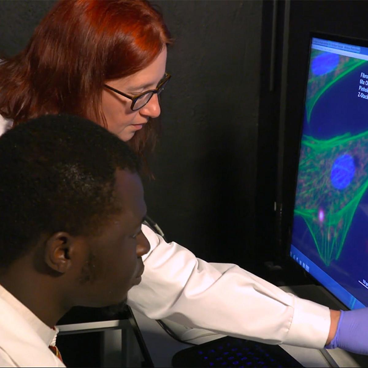 Two People in Lab Coats Looking at a Screen, Research