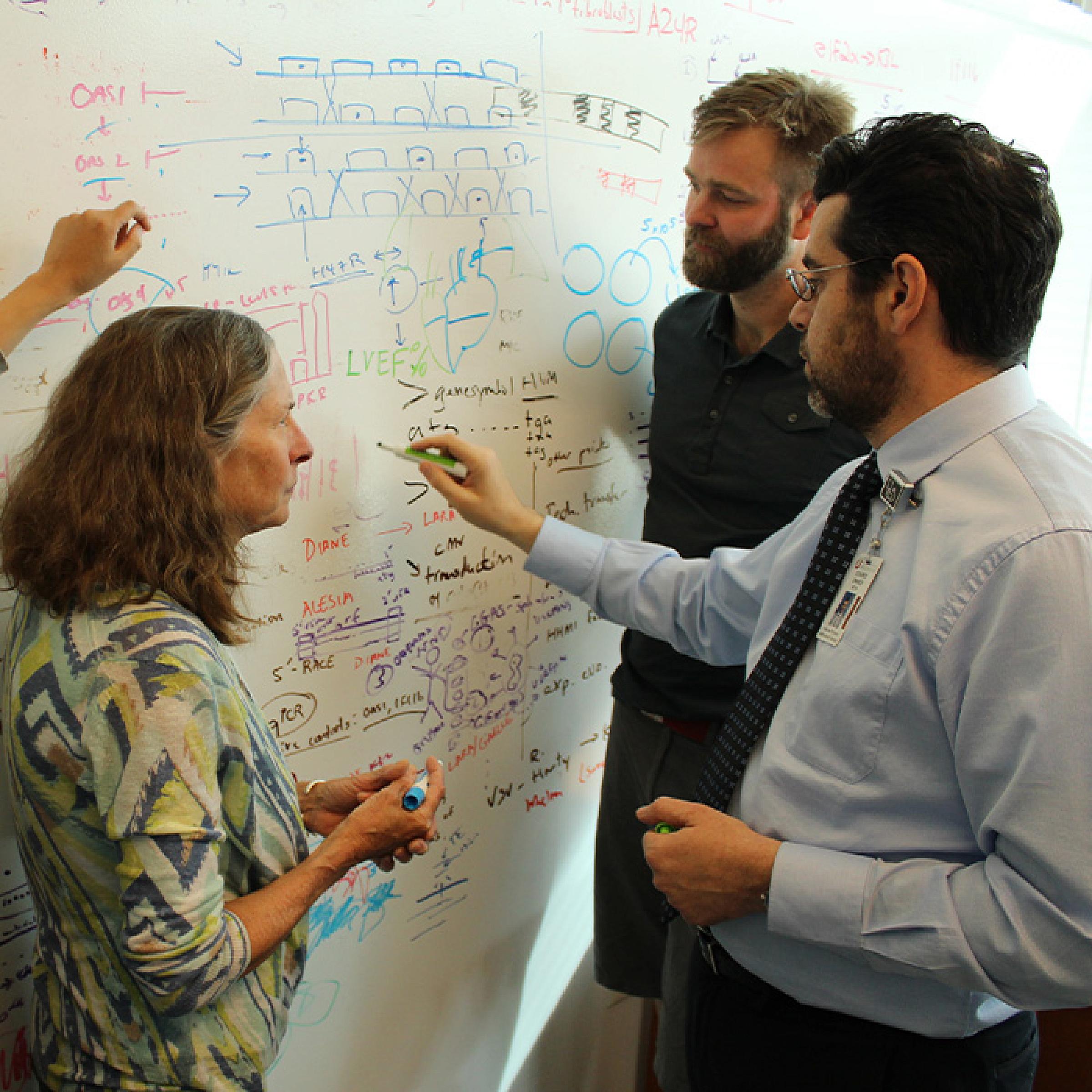 Three People Looking at Whiteboard