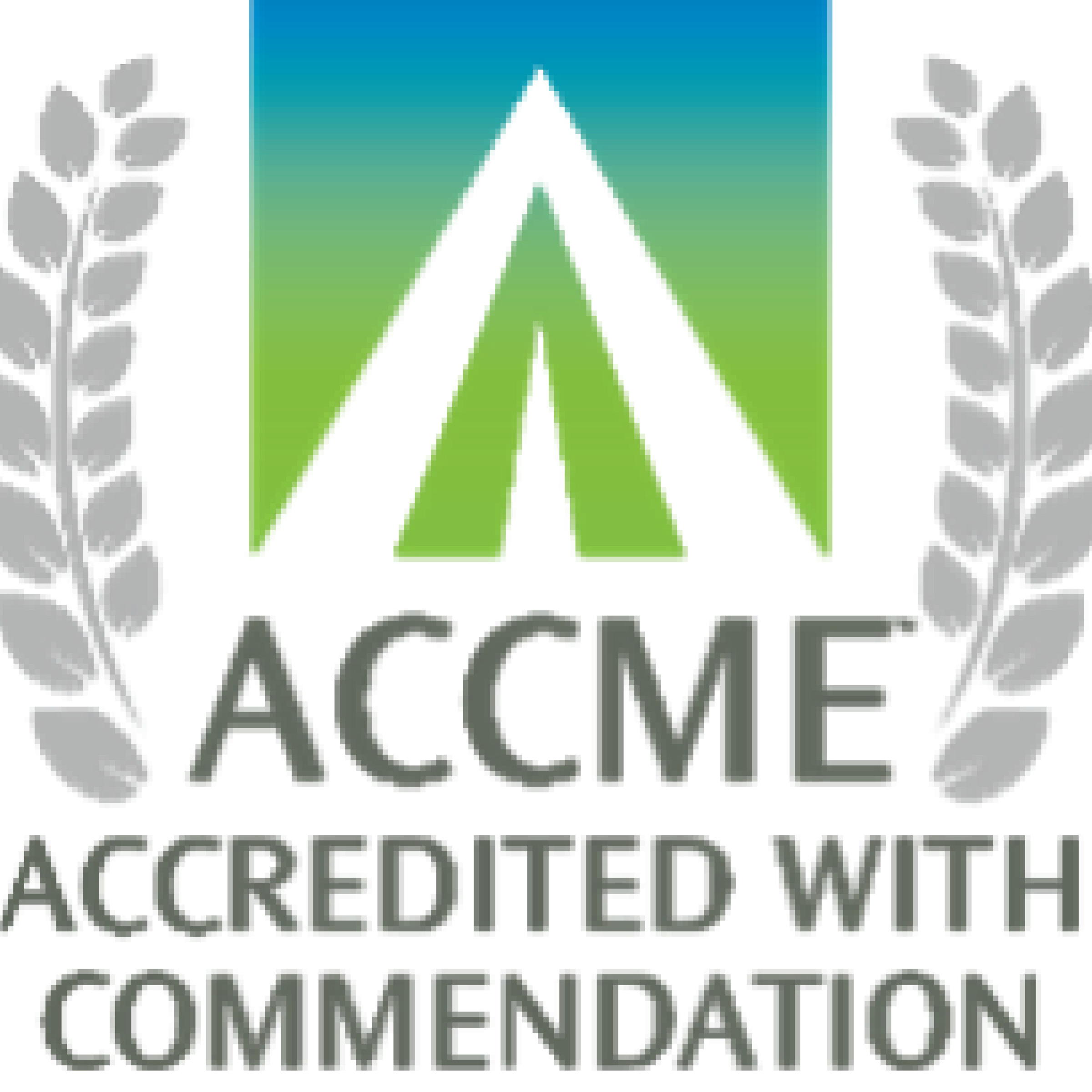 CME Logo