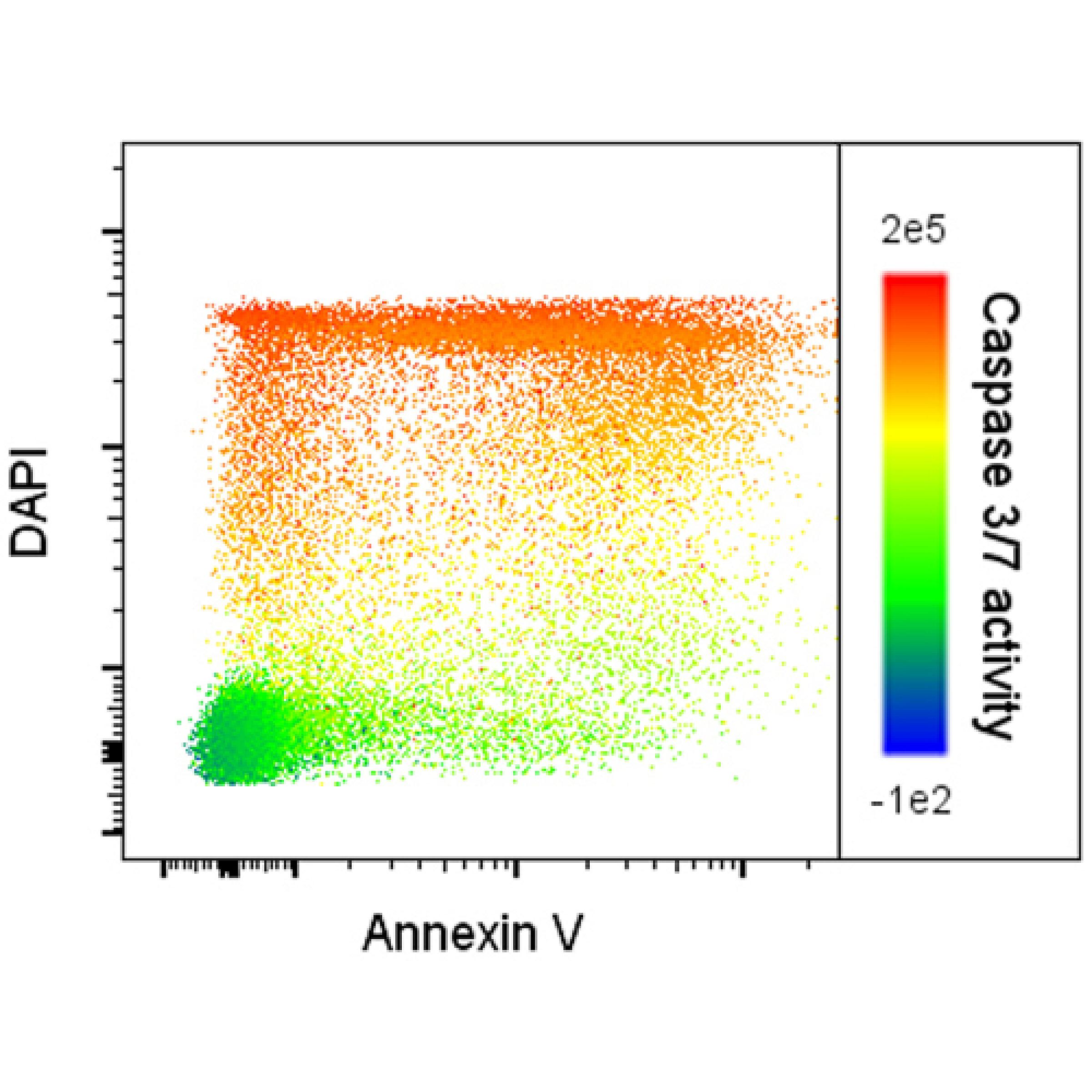 Apoptosis Flow Cytometry analysis