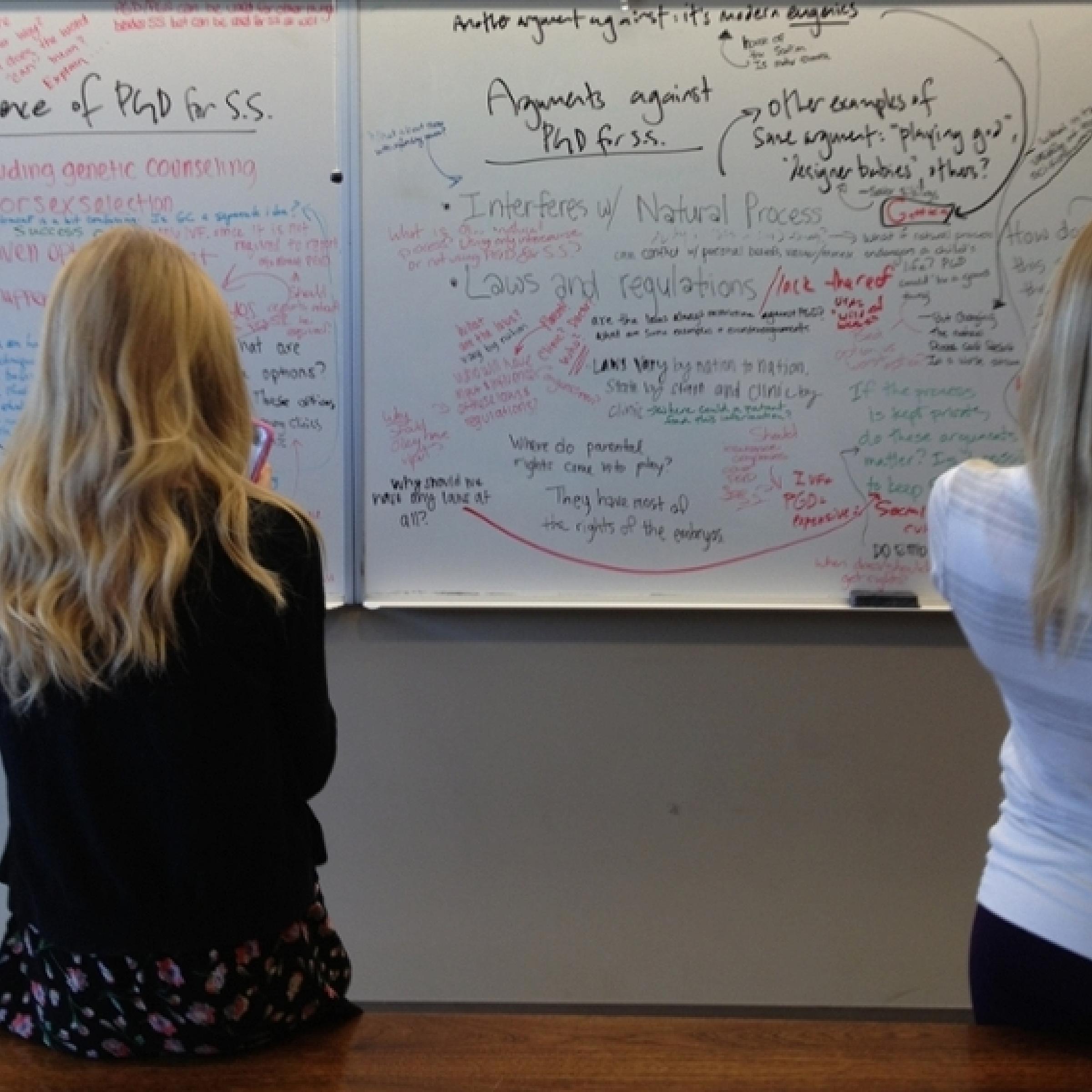 Two People Looking at Whiteboard