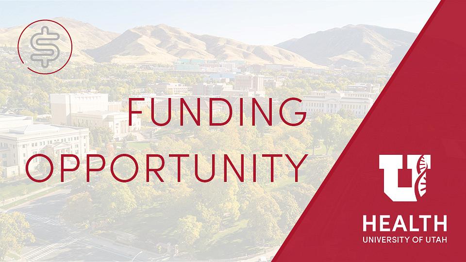 Research Funding Opportunity