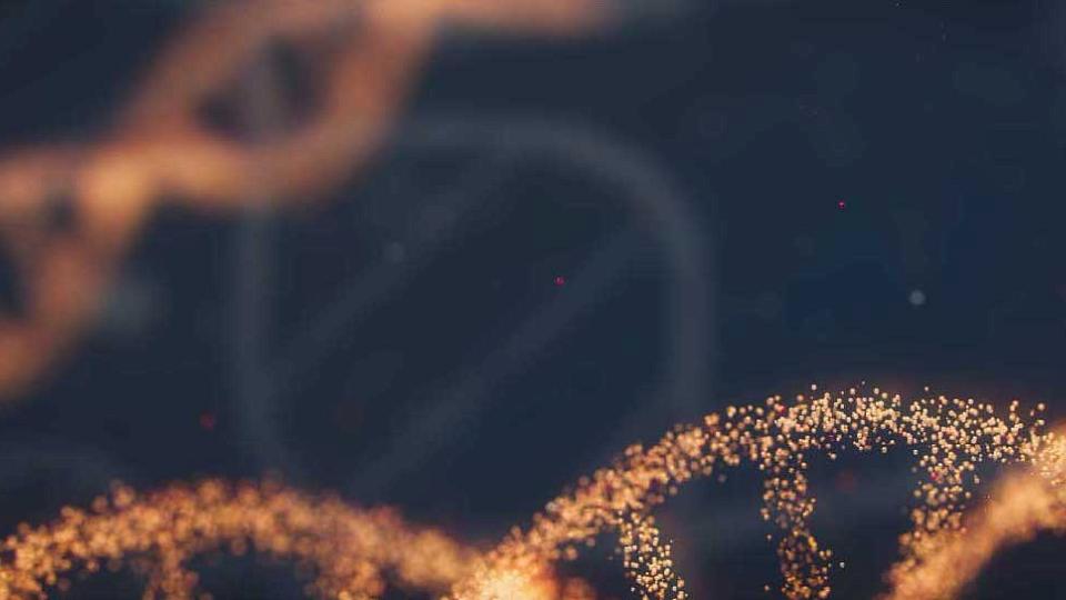Artistic rendition of glowing DNA helices on a dark background External link: (https://healthcare.utah.edu/newsroom/news/2025/04/parts-of-our-dna-may-evolve-much-faster-previously-thought)