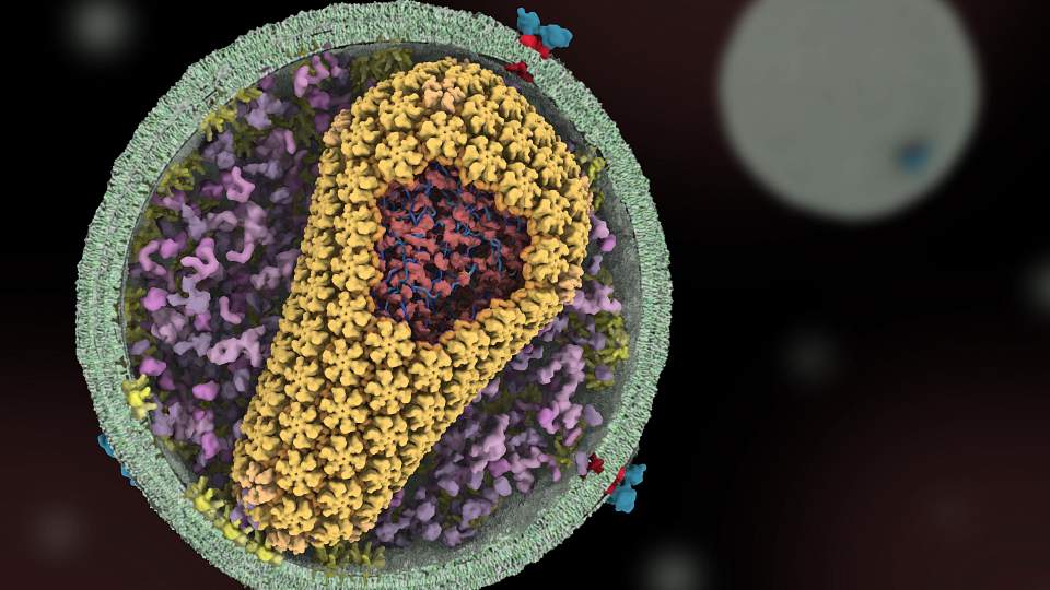 Magnified HIV particle