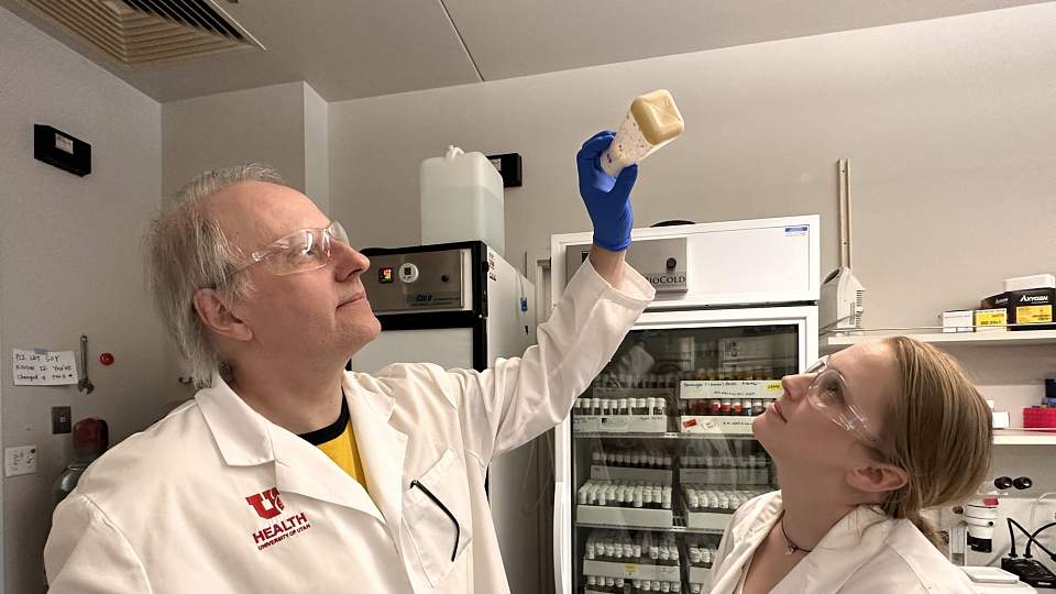Two researchers looking up at a bottle of flies in lab. External link: (https://healthcare.utah.edu/newsroom/news/2025/06/fruit-flies-cocaine-could-reveal-better-therapies-addiction)