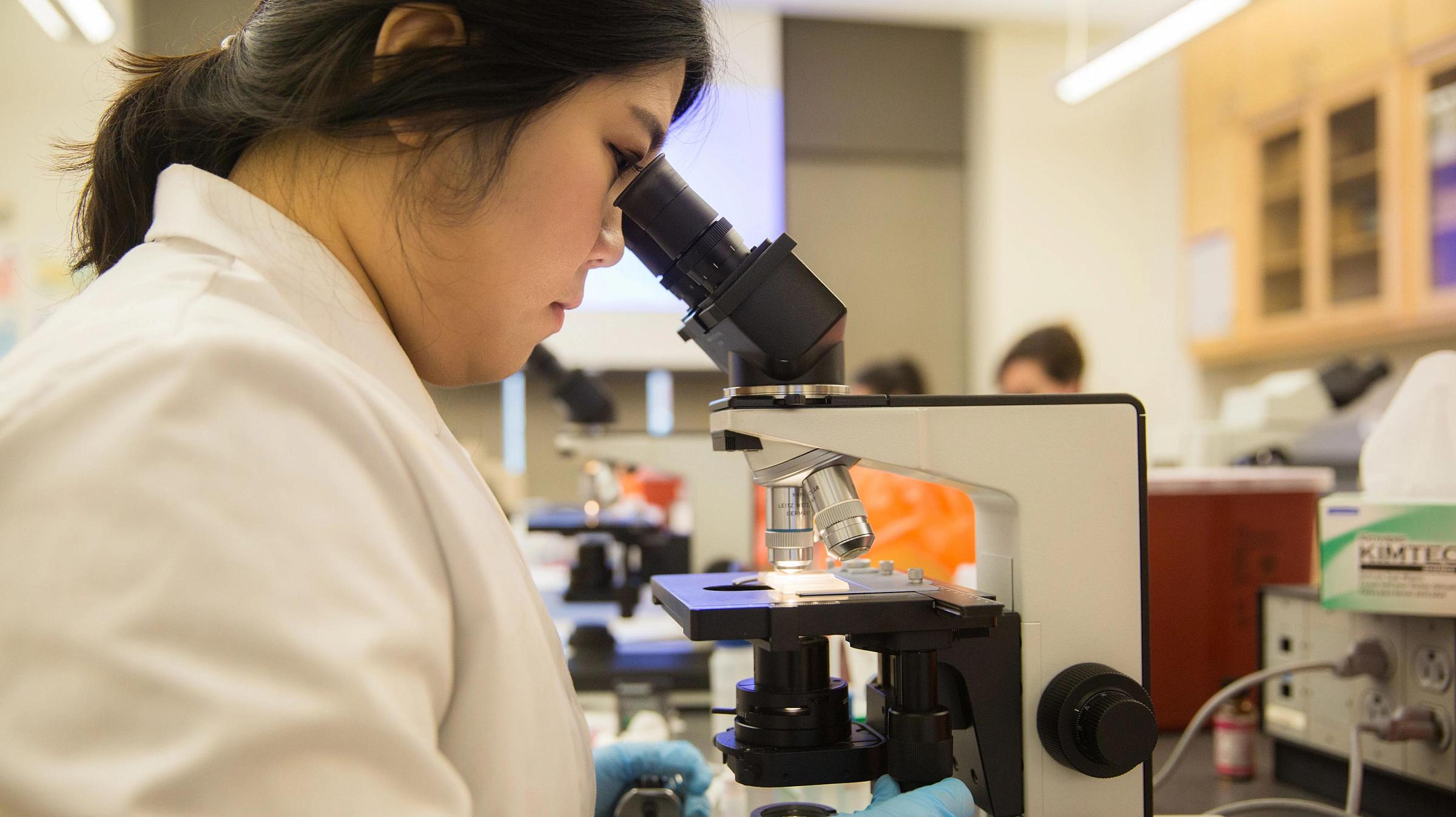 School of Medicine research lab, looking in microscope