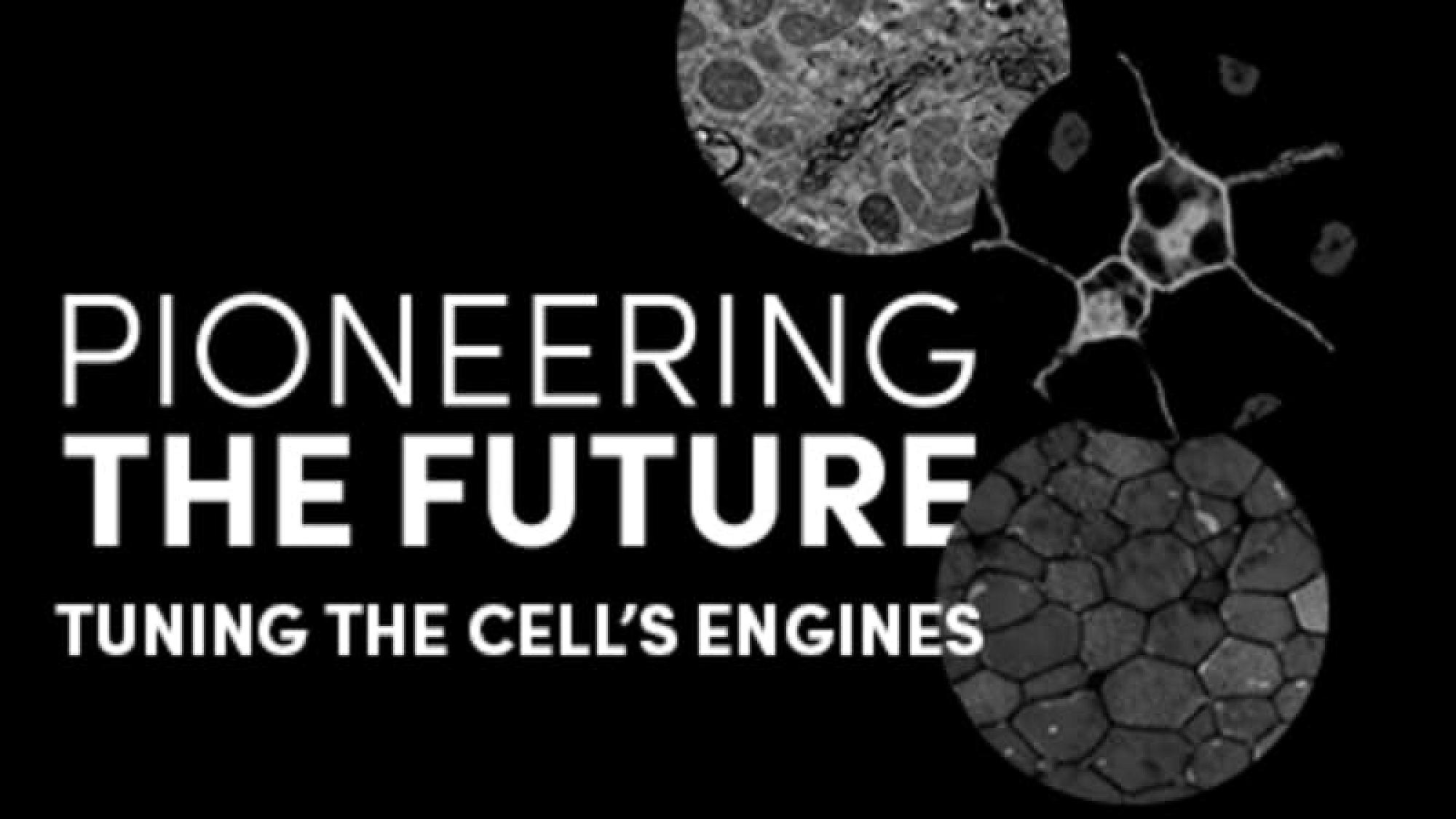 Pioneering the Future Cell's Engines Thumbnail