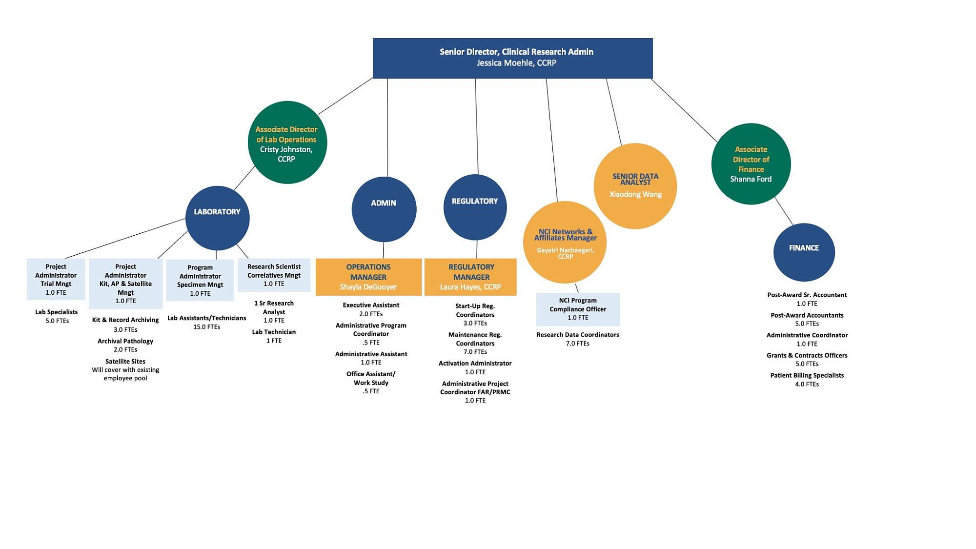 Flowchart of the operations organization of the Clinical Trials Office